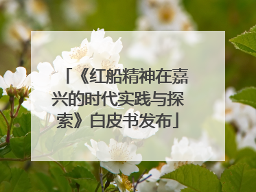 《红船精神在嘉兴的时代实践与探索》白皮书发布