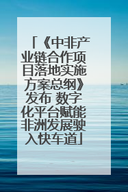 《中非产业链合作项目落地实施方案总纲》发布 数字化平台赋能非洲发展驶入快车道