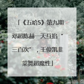 《五哈5》第九期邓超陈赫一天互掐“三百次”，王俊凯韭菜舞超魔性