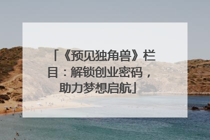 《预见独角兽》栏目：解锁创业密码，助力梦想启航