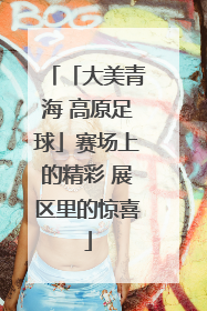 「大美青海 高原足球」赛场上的精彩 展区里的惊喜