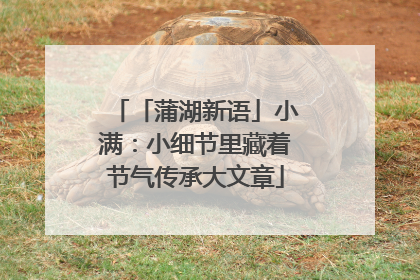 「蒲湖新语」小满：小细节里藏着节气传承大文章
