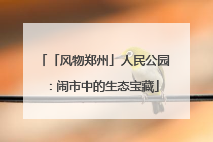 「风物郑州」人民公园：闹市中的生态宝藏