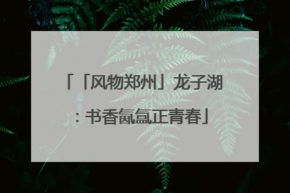 「风物郑州」龙子湖：书香氤氲正青春