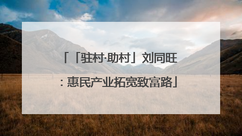「驻村·助村」刘同旺：惠民产业拓宽致富路