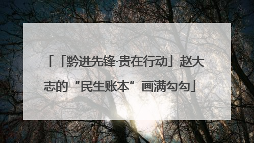 「黔进先锋·贵在行动」赵大志的“民生账本”画满勾勾