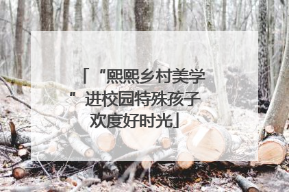 “熙熙乡村美学”进校园特殊孩子欢度好时光