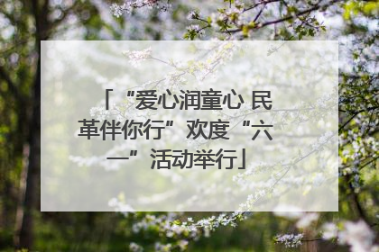 “爱心润童心 民革伴你行”欢度“六一”活动举行