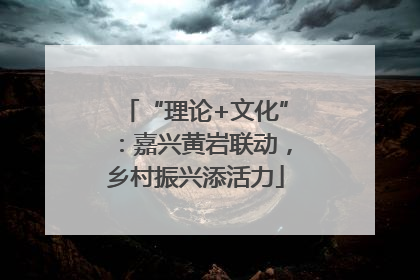 “理论+文化”：嘉兴黄岩联动，乡村振兴添活力