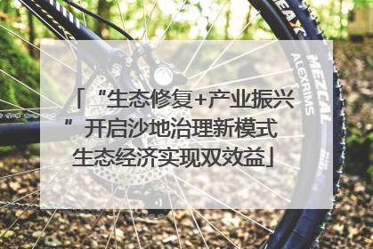 “生态修复+产业振兴”开启沙地治理新模式 生态经济实现双效益