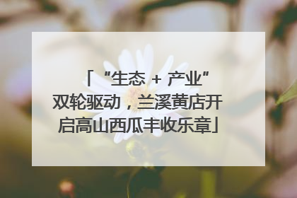 “生态 + 产业”双轮驱动，兰溪黄店开启高山西瓜丰收乐章