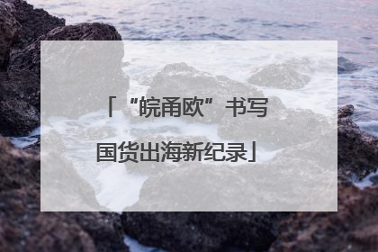 “皖甬欧”书写国货出海新纪录