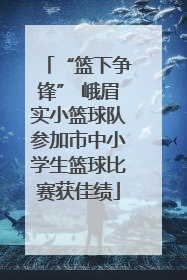 “篮下争锋” 峨眉实小篮球队参加市中小学生篮球比赛获佳绩