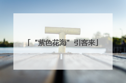 “紫色花海”引客来