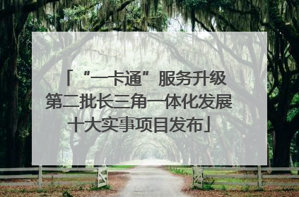 “一卡通”服务升级 第二批长三角一体化发展十大实事项目发布
