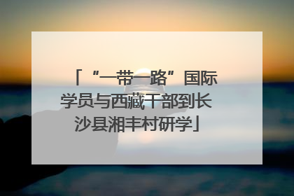 “一带一路”国际学员与西藏干部到长沙县湘丰村研学
