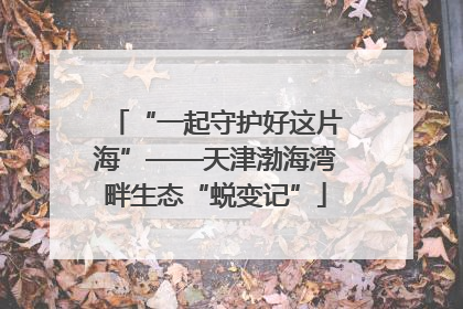 “一起守护好这片海”——天津渤海湾畔生态“蜕变记”