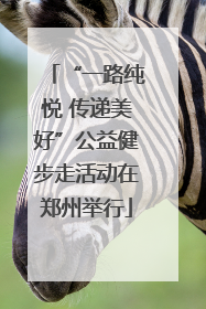 “一路纯悦 传递美好”公益健步走活动在郑州举行
