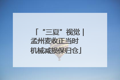 “三夏”视觉｜孟州麦收正当时 机械减损保归仓