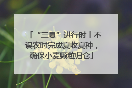 “三夏”进行时丨不误农时完成夏收夏种，确保小麦颗粒归仓