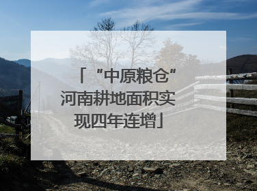 “中原粮仓”河南耕地面积实现四年连增