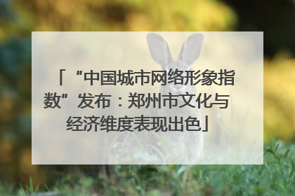 “中国城市网络形象指数”发布：郑州市文化与经济维度表现出色
