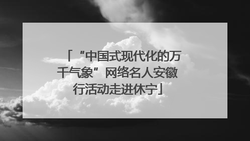 “中国式现代化的万千气象”网络名人安徽行活动走进休宁
