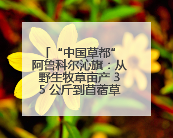 “中国草都” 阿鲁科尔沁旗：从野生牧草亩产 35 公斤到苜蓿草亩产 800 公斤以上