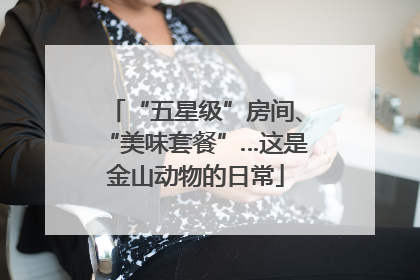 “五星级”房间、“美味套餐”…这是金山动物的日常