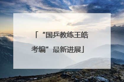 “国乒教练王皓考编”最新进展