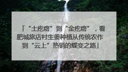 “土疙瘩”到“金疙瘩”，看肥城旅店村生姜种植从传统农作到“云上”热销的蝶变之路