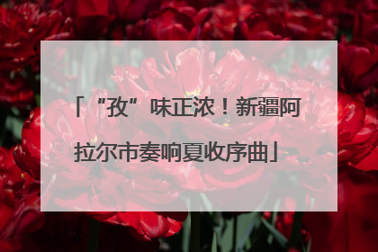 “孜”味正浓！新疆阿拉尔市奏响夏收序曲