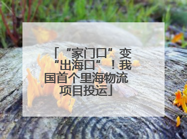 “家门口”变“出海口”！我国首个里海物流项目投运