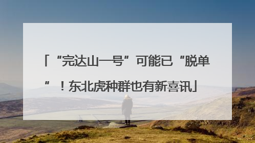 “完达山一号”可能已“脱单”！东北虎种群也有新喜讯