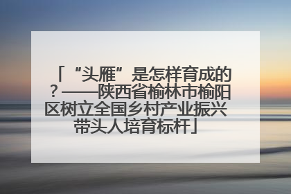 “头雁”是怎样育成的？——陕西省榆林市榆阳区树立全国乡村产业振兴带头人培育标杆