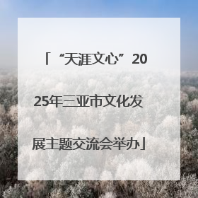 “天涯文心”2025年三亚市文化发展主题交流会举办