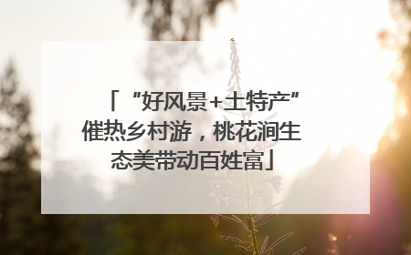 “好风景+土特产”催热乡村游，桃花涧生态美带动百姓富