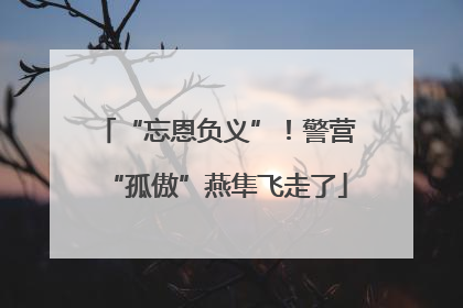 “忘恩负义”！警营“孤傲”燕隼飞走了