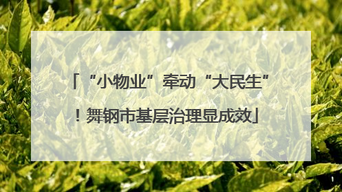 “小物业”牵动“大民生”！舞钢市基层治理显成效