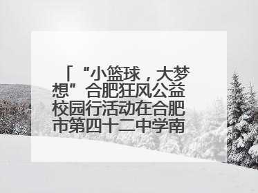 “小篮球，大梦想”合肥狂风公益校园行活动在合肥市第四十二中学南城分校圆满落幕
