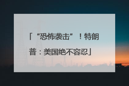 “恐怖袭击”！特朗普：美国绝不容忍