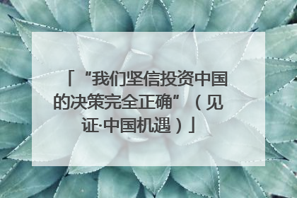 “我们坚信投资中国的决策完全正确”（见证·中国机遇）