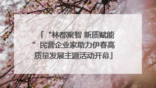 “林都聚智 新质赋能”民营企业家助力伊春高质量发展主题活动开幕