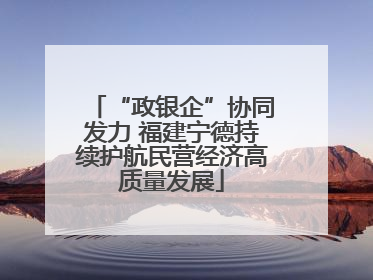 “政银企”协同发力 福建宁德持续护航民营经济高质量发展