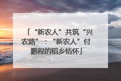 “新农人”共筑“兴农路”：“新农人”付鹏程的稻乡情怀