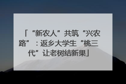 “新农人”共筑“兴农路”：返乡大学生“桃三代”让老树结新果