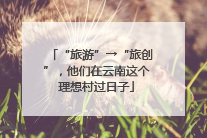 “旅游”→“旅创”，他们在云南这个理想村过日子