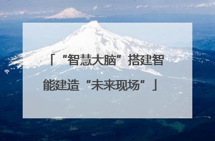 “智慧大脑”搭建智能建造“未来现场”