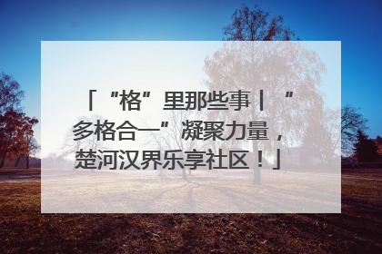 “格”里那些事丨“多格合一”凝聚力量，楚河汉界乐享社区！
