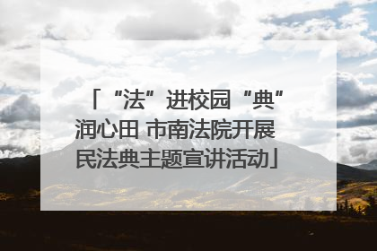“法”进校园“典”润心田 市南法院开展民法典主题宣讲活动